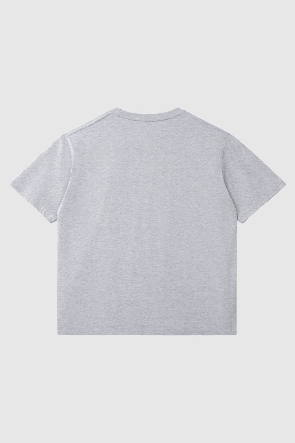 wasteland t-shirt – Rückansicht – Medium Heather Gray