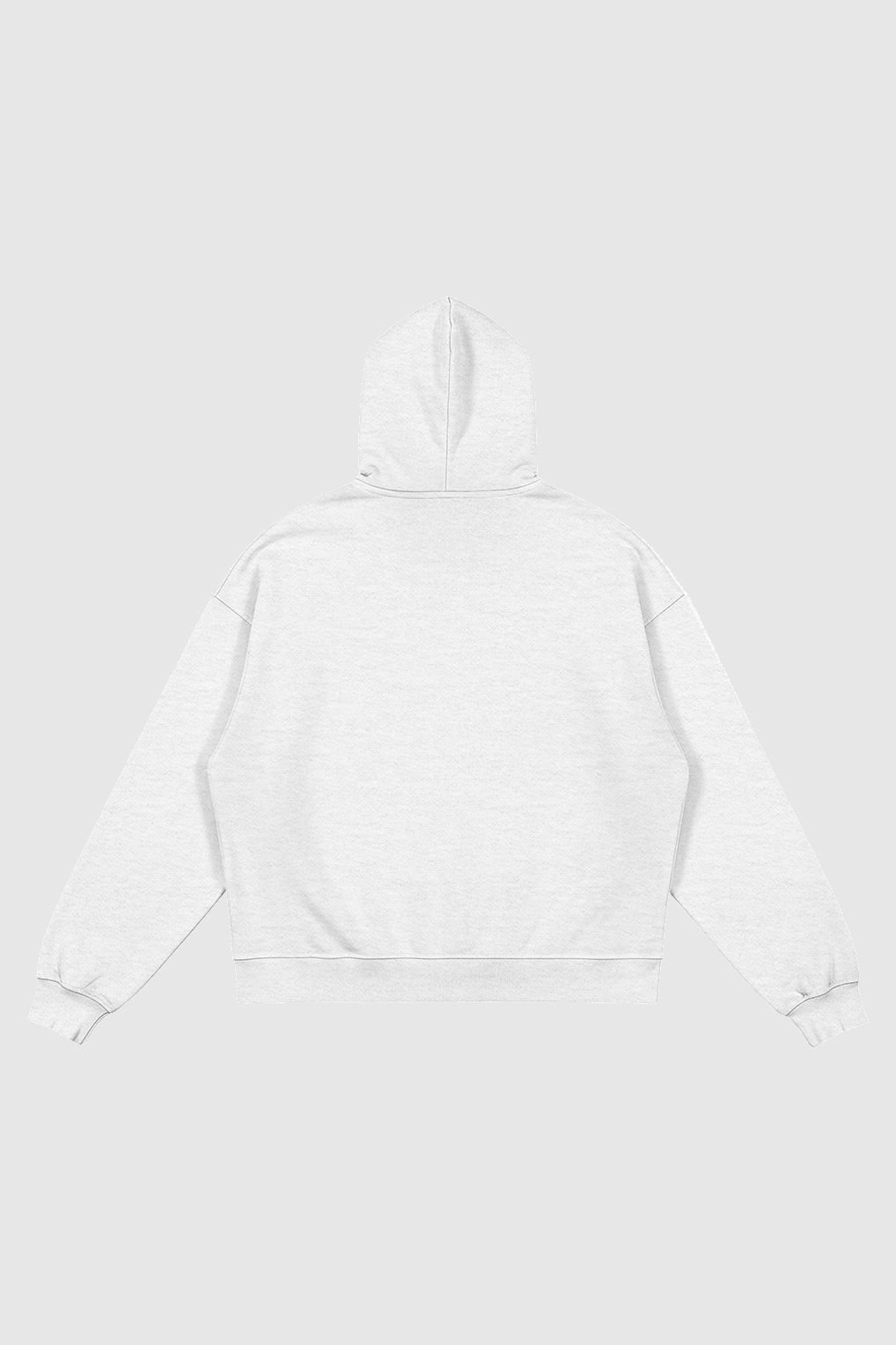out of 2 hoodie – Rückansicht – Light Gray